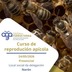 O CONCELLO DE NARÓN COLABORA NUN CURSO DE CRÍA DE ABELLAS PARA FACER FRONTE Á CRISE DAS COLMEAS